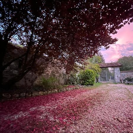 Evergreen Guesthouse Vernon  Zewnętrze zdjęcie