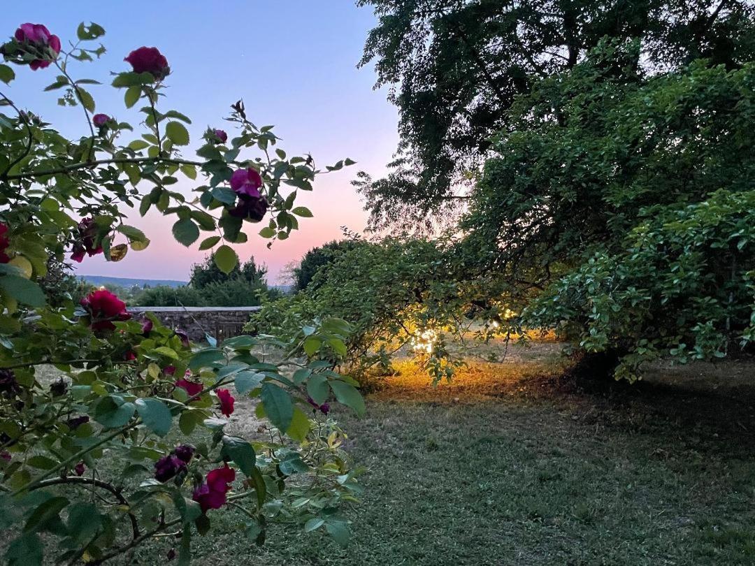 Evergreen Guesthouse Vernon  Zewnętrze zdjęcie