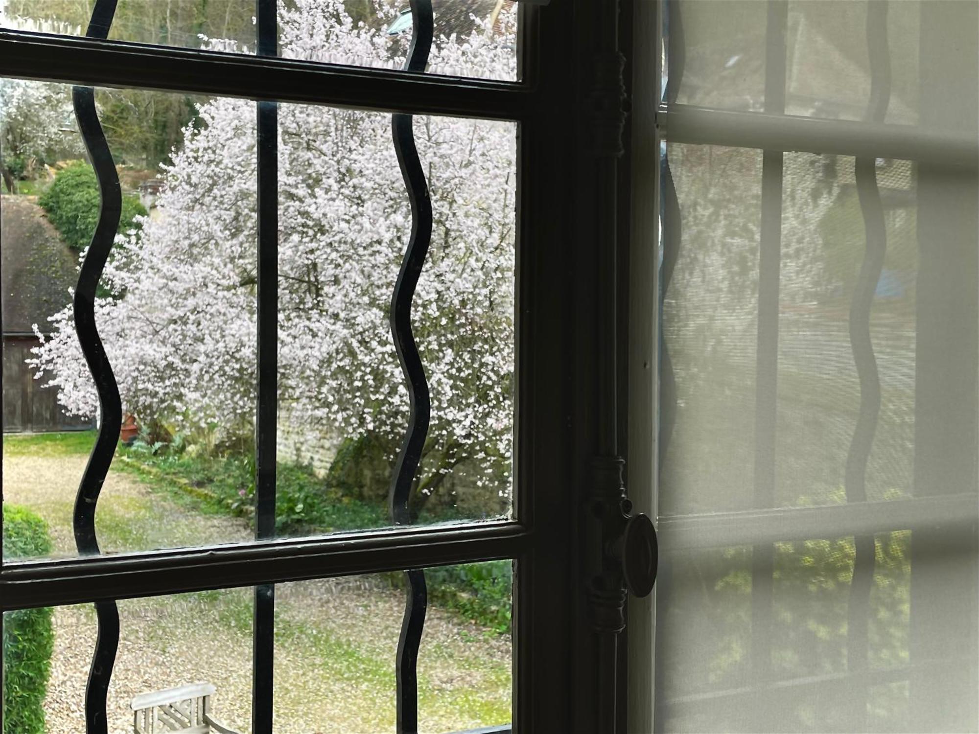 Evergreen Guesthouse Vernon  Zewnętrze zdjęcie