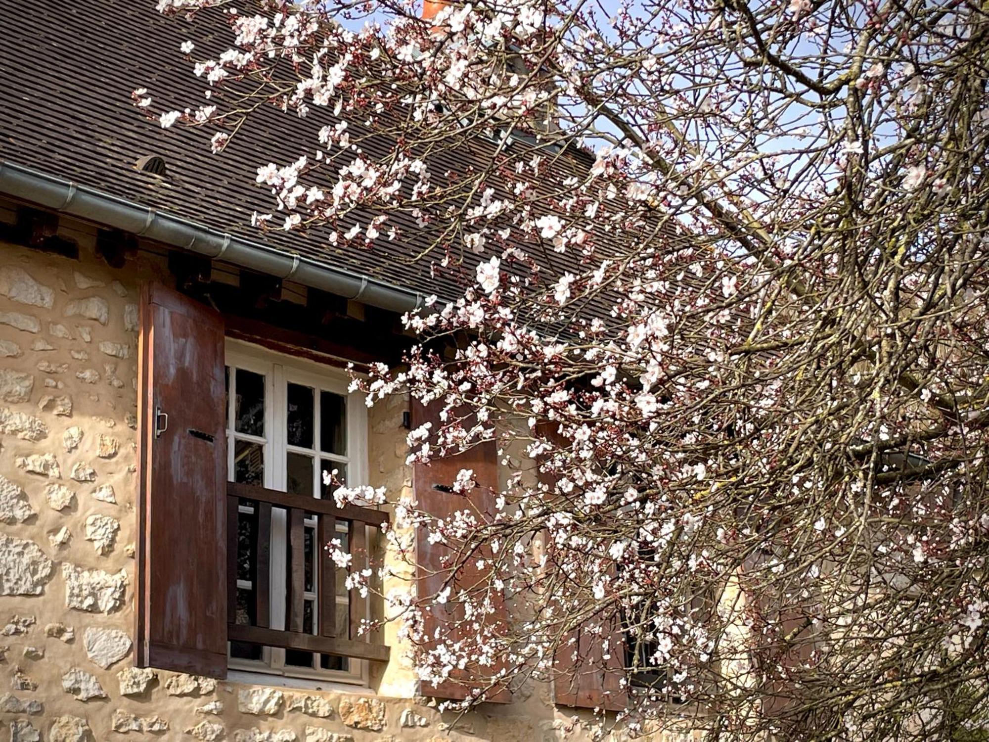 Evergreen Guesthouse Vernon  Zewnętrze zdjęcie